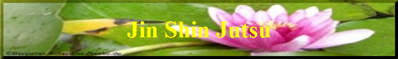 Jin Shin Jutsu