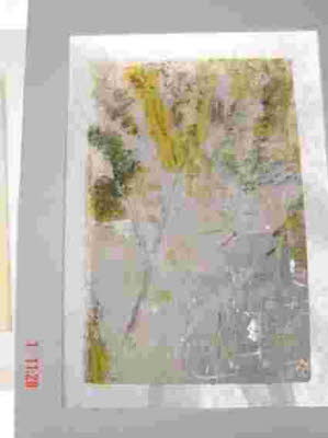 DSC01140