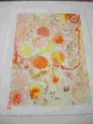DSC01154
