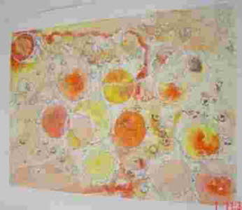 neu-37
